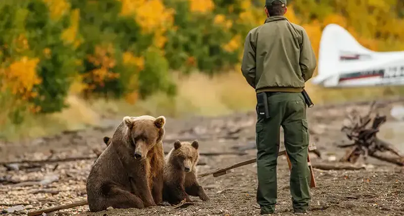 Blog image on Wildlife Conservation Work Safety