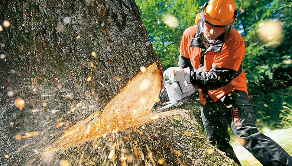eSafetyFirst - Chainsaw Safety: Ensuring Safe and Efficient Use