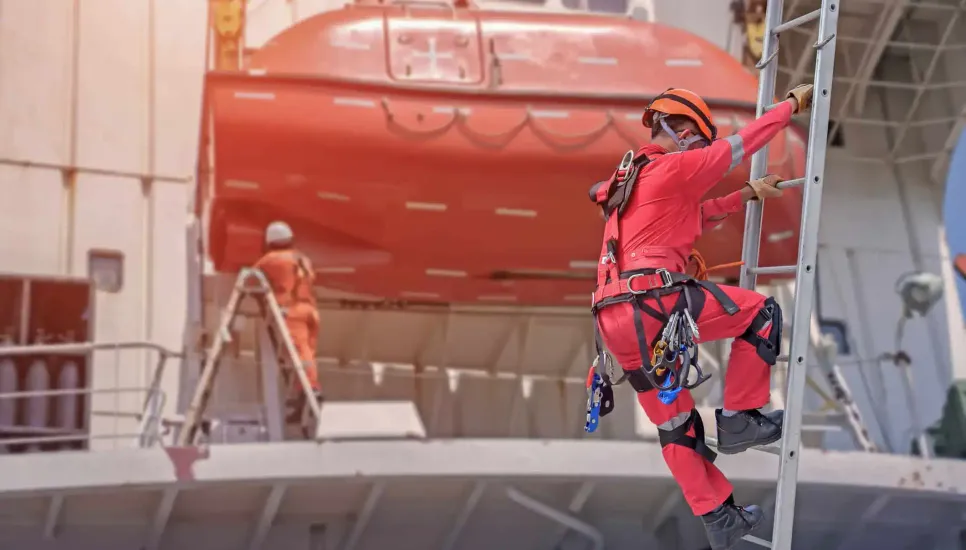 eSafetyFirst - The Ultimate Guide to Ladder Safety Training and Certification in Canada