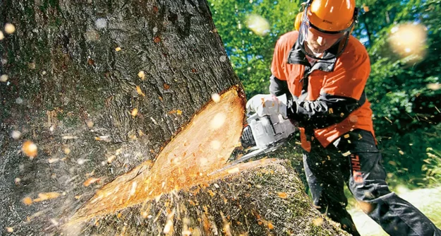 eSafetyFirst - Chainsaw Safety: Ensuring Safe and Efficient Use